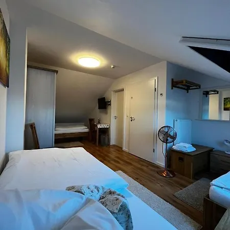 Gaestehaus - Monteur Und Gaestezimmer - Траунройт